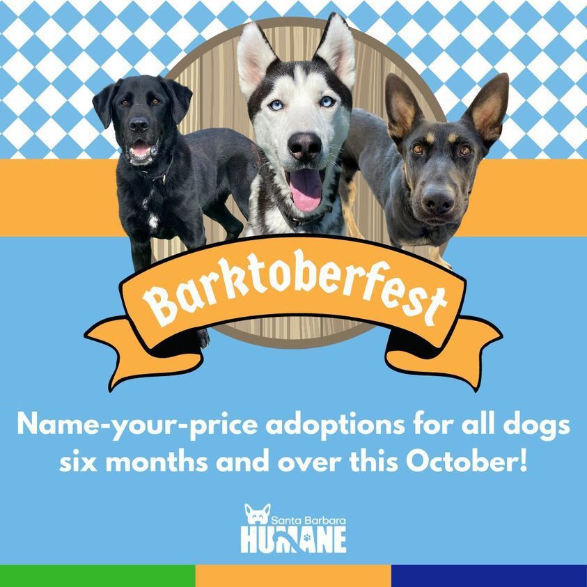 Barktoberfest